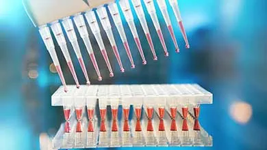 A multi-channel pipette dispenses red liquid into a clear microplate in a laboratory.