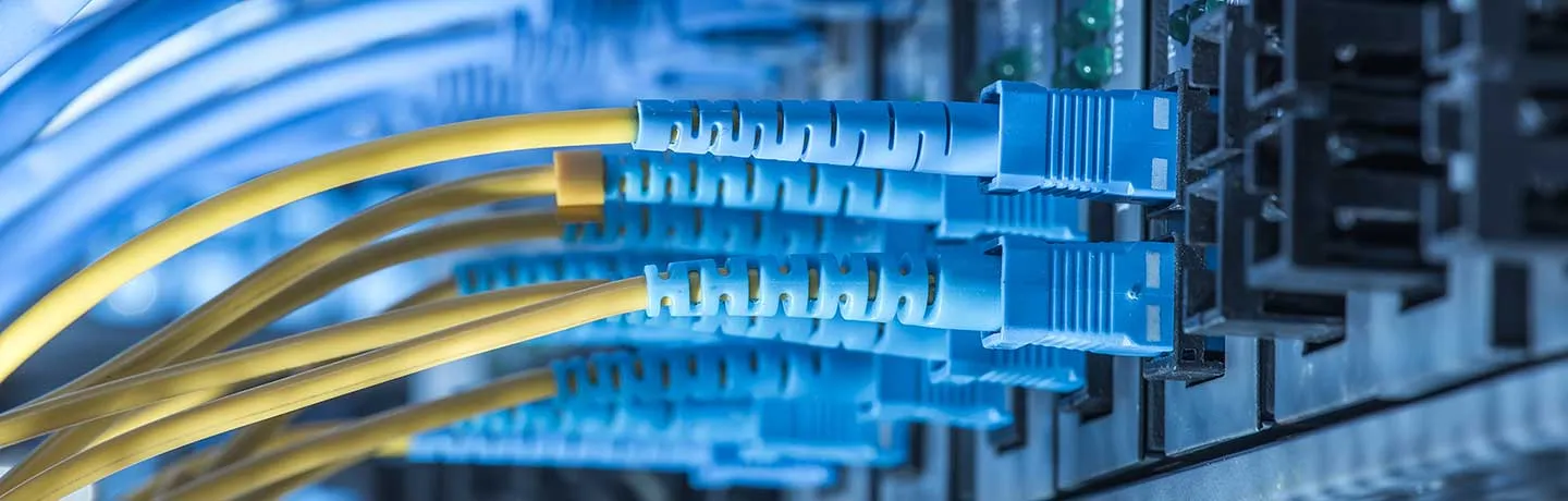 blue wires